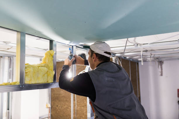 Best Insulation for Specific Applications in Chesilhurst, NJ